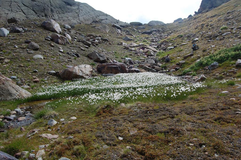 Appartamenti Welcome In Val Di Sole Casa Orti أوسانا المظهر الخارجي الصورة